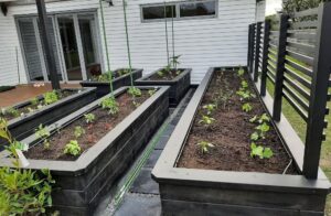 Garden Boxes & Screen Omaha